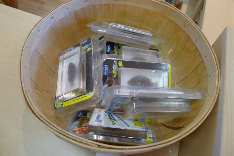 20160813_151137 null