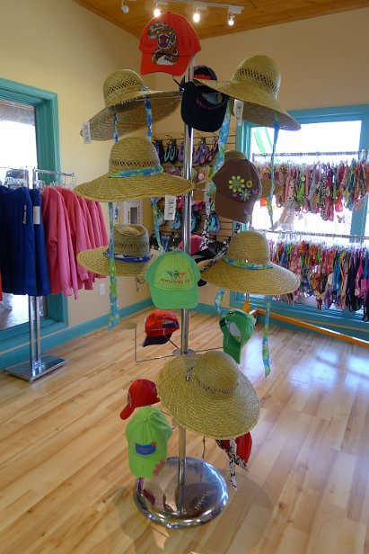 20160813_151253 null