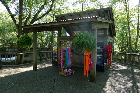 20160709_174939 null