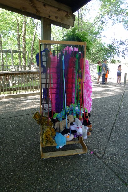 20160709_175238 null