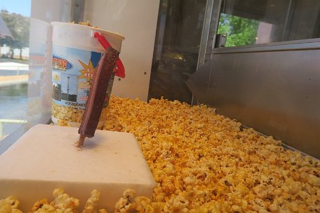 20170514_123538 null