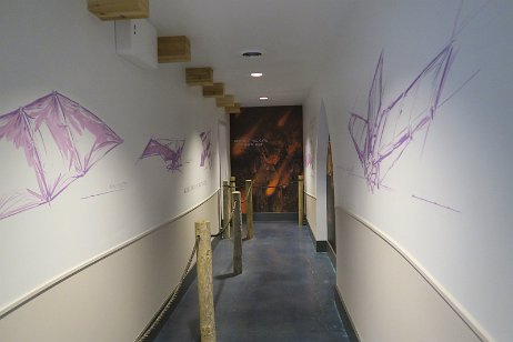 20220827_163448 null